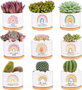 Kolewo4ever 9 Pieces Teacher Appreciation Gifts Ceramic Succulent Plant Pot Small Flower Planter Rainbow Funny Cute Succulent Accessories for Best Teacher Gift Plant Not Included