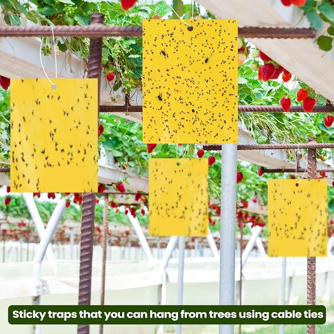 Qualirey 50 Pcs 6x8 Inch Yellow Sticky Traps for Gnats, Dual-Sided Sticky Gnat Traps for Indoor Outdoor Plants, Pest Control for Fungus Gnats, Fruit Flies, Whiteflies with Twist Ties