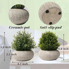 2 Pack Small Fake Plants in Cement Planter for Bathroom Decor, 6.1/5.7 Inch Artificial Plants Indoor, Small Faux Plants Indoor for Home Room Bedroom Farmhouse Kitchen Office Decor - Boxwood