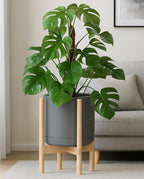 D'vine Dev Ceramic Planter with Natural Stand - 12 Inch Modern Round Flower Pot with Wood Planter Holder, Grey, 55-B-J-3