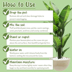 Soil Sunrise Banana Tree Potting Soil Mix (12 Quarts) – Hand-Blended Indoor/Outdoor Mix for Healthy Banana Plants – Enhances Drainage & Root Support – Made in USA