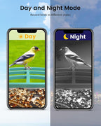 Smart Bird Feeder Camera (Dual Panel), Solar Powered, Identify 11,000+ Birds with AI, Auto Capture & Notify, 2K HD Footage, Outdoor Bird Watching, Ideal Gift for Birds Lovers.