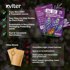 KVITER 75 Texas Bluebonnet Seeds (Lupinus Texensis) - Texas Lupine, Pollinator Friendly Wildflower, Non GMO Heirloom Seed - Annual Flower Seeds in Seed Packets for Outdoor Garden, Beds and Borders