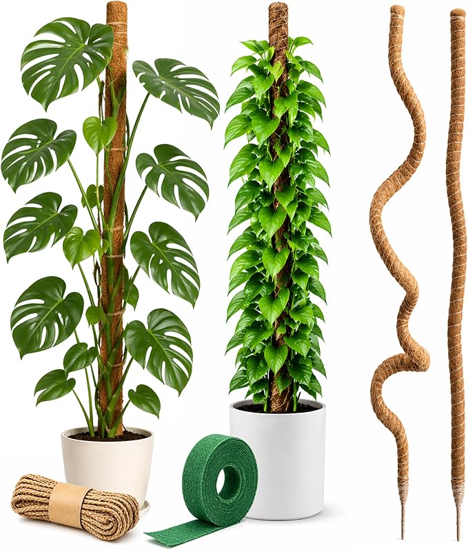 Craft911 Moss Pole Monstera Plant Support – 64” Bendable Moss Pole Monstera Plant Support, Plant Stakes for Indoor Plants, Tall Plant Sticks Support for Climbing Plants