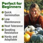 HOME GROWN Pumpkin Seeds for Planting - 5 Variety Mix - 40 Seeds - Heirloom Non GMO USA - Vegetable Garden - Edible & Jack O Lanterns - Connecticut Field Blue White Mini - Autumn Harvest