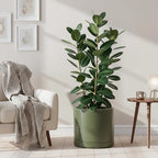 D'vine Dev 16 Inch Ceramic Planter Pot with Drainage Hole and Saucer, Indoor Cylinder Round Planter Pot, Olive, 94-O-H-J
