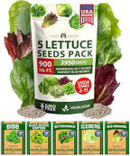 HOME GROWN Lettuce Seeds 5 Variety Mix 3950+ Bulk Pack Heirloom Non-GMO, High Germination, Romaine, Bibb, Buttercrunch, Iceberg, Black Seeded Simpson, Indoor Outdoor Hydroponic Garden (Lactuca sativa)