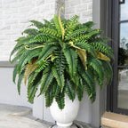 MARTINE MALL 2Pcs 48''/ 88 Leaves XXL Large Fake Ferns Artificial Ferns for Outdoors, UV Resistant Faux Boston Fern for Outdoor Planter Realistic Hanging Artificial Fake Plants for Porch Patio