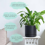 Phoenix Vine 6 Inch Planter Pot with Drainage Hole & Saucer, Deep Water Catch Tray, Straight Cylindrical Round Pot for Plants, Matte Black, Pack of 4, 23-C-S-4