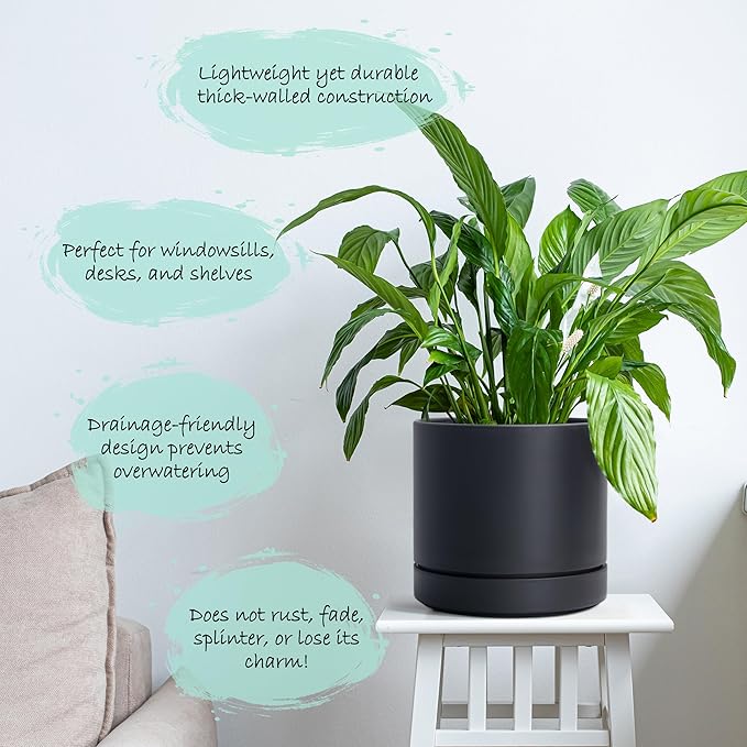 Phoenix Vine 4 Inch and 6 Inch Planter Pot with Drainage Hole & Deep Water Catch Tray Saucer, Straight Cylindrical Round Pot for Plants, Matte Black, 23-A-2-Z