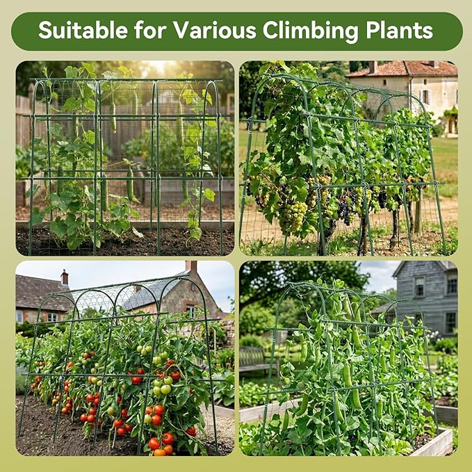 65"×48" Cucumber Trellis for Raised Bed, U-Shape Garden Trellis for Climbing Plants Outdoor, Metal Arch Vegetables Trellis, Detachable Cucumber Plant Support for Tomato,Squash