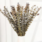 Tavkite 16 Pcs Dried Eucalyptus Stems, 17'' Natural Fresh Eucalyptus Leaves Branches Hanging for Shower, Preserved Real Yellow Plant Live for Home SPA Wall Bathroom Wedding Party Vase Decor