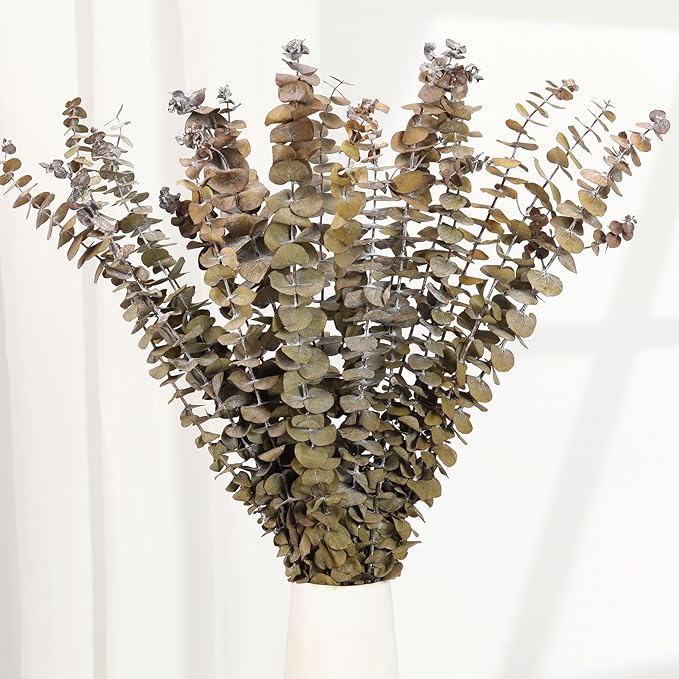 Tavkite 16 Pcs Dried Eucalyptus Stems, 17'' Natural Fresh Eucalyptus Leaves Branches Hanging for Shower, Preserved Real Yellow Plant Live for Home SPA Wall Bathroom Wedding Party Vase Decor