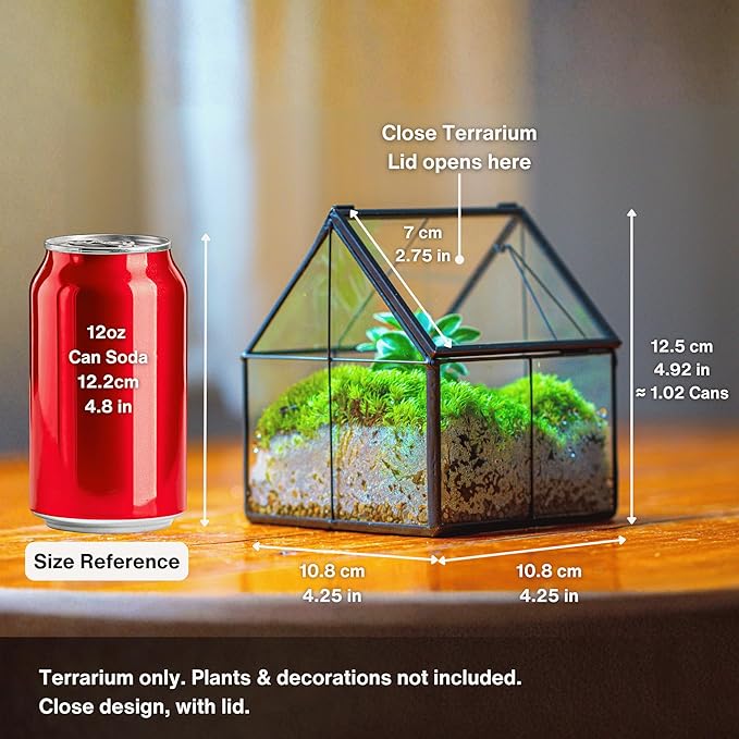 NCYP Mini Glass Terrarium with Lid - 4.25" x 4.25" x 4.92" Small House Shape Close Geometric Planter Pot for Mini Succulents Plant - Handmade, Home Garden Office Decor, Black (Terrarium Only)