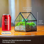 NCYP Mini Glass Terrarium with Lid - 4.25" x 4.25" x 4.92" Small House Shape Close Geometric Planter Pot for Mini Succulents Plant - Handmade, Home Garden Office Decor, Black (Terrarium Only)