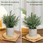 Coferset 2 Pack Small Fake Plants Rosemary Potted Artificial Plants for Shelf Desk Home Bathroom Farmhouse Room Coffee Table Decor (Green)