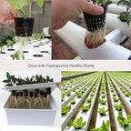 ORIMERC 2 inch Net Pots for Hydroponic Tower, 50 Pack Mesh Net Cups Come with Self Watering Wicking Rope&Plant Labels, for Hydroponic Garden Plants Baskets Aquaponics Vegetable Growing Indoor BPA Free