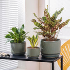Green Ceramic Plant Pots Set of 3, 4.3+5.5+6.7 Inch Indoor Flower Pots with Drainage Hole & Saucer & Hole Mesh Pads, Striped Decorative Planter Set for Indoor Plants, Gardening Pots & Accessories