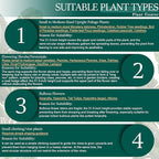 6-Pack 31.5” Plant Support Stakes, Steel Plant Cage & Peony Tomato Hydrangea Cage, Garden Stakes for Outdoor Plants, Heavy-Duty Plant Stakes, 16.7” Support + 14.8” Extension Tubes