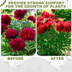 Geelin 15 Pack Peony Cages and Supports 12'' Dx 24'' H Grow Through Metal Plant Supports Frame Rings Hoops for Outdoor Plants Peony Flowers Tomato Rose(Green)