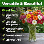 HOME GROWN Dwarf Zinnia Seeds Mix - 8525 Pumila Zinnia Seeds for 2026 (2oz) | Zinnia Flower Seeds for Planting Outdoors | Colorful Cut Annual Flowers for Summer Gardens & Containers (Zinnia elegans)
