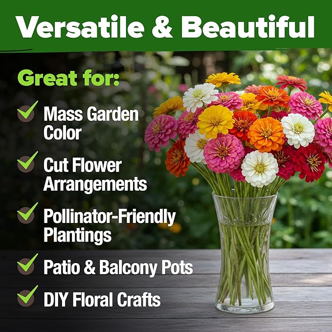HOME GROWN Dwarf Zinnia Seeds Mix - 8525 Pumila Zinnia Seeds for 2026 (2oz) | Zinnia Flower Seeds for Planting Outdoors | Colorful Cut Annual Flowers for Summer Gardens & Containers (Zinnia elegans)
