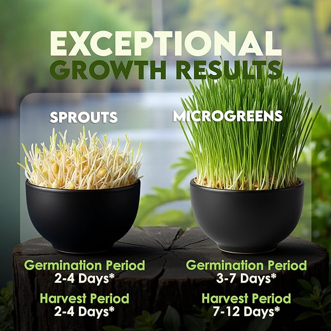 Nature Jims Sprouts Wheat Grass Seeds – Non-GMO Organic Seeds for Planting, Cat Grass for Growing & Sprouting – Resealable Bag for Fresh Wheatgrass Sprouts – Vitamins, Minerals, & Fiber-Rich –16oz
