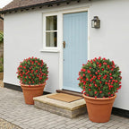 Dense Red Rose Artificial Topiary Ball Trees 24 Inch, Set of 2 Fake Plants with Ground Spike, UV Resistant No Fade Outdoor Faux Shrubs for Spring Garden, Patio, Porch, Yard, Indoor Decor
