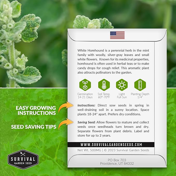 Survival Garden Seeds - Horehound Seeds for Planting - 2 Packets with Instructions to Plant and Grow Beneficial Marrubium Medicinal Herbs in Your Home Vegetable Garden - Non-GMO Heirloom Variety