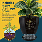 Black 6-Inch Plant Pots with Drainage & Saucers 18 Pack, Indoor & Outdoor Planters for Houseplants, Herbs, and Flowers, Durable & Weatherproof Material, Stackable, Lightweight, Minimalist Design