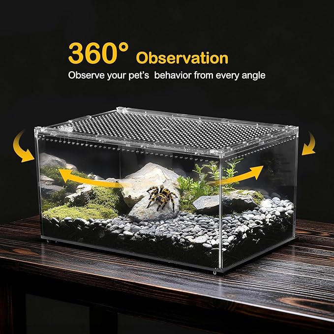 Reptile PC Terrarium,Tarantula Enclosure,Spider Tank Starter Kit,Leopard Gecko Container,Hermit Crab Habitat,Lizard Enclosure,Insect Housing,Jumping Spider Cage,Bearded Dragon Vivarium XL
