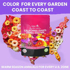 NatureZ Edge Zinnia Seeds for 2026 Planting Outdoors, Over 8250 Flower Seeds, 2 Oz, Non GMO Made in USA, Bulk Semillas De Flores para Sembrar, California Giants, Easy to Grow Zinnia Seed Mix