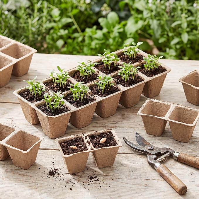 200 Cells Seed Starter Tray, 20 Pcs Biodegradable Plant Starter Peat Pots(Including T-Type Labels & Starter Tools)– Eco-Friendly Gardening Supplies, No Transplant Needed