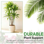 HiGift 10 Pack 24" H x 10" W Tall Plant Support Stakes, Half Round Metal Peony Cages and Supports, Monstera Plant Support Snake Plant Stake Flower Support Ring for Tomato, Hydrangea Outdoor Indoor