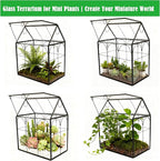 ELEGANTLIFE Glass Geometric Plant Terrarium,Succulent & Air Planter for Home Garden Office Decoration (Black House)