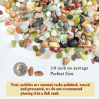 FANTIAN 5lbs Small Succulent Rocks, 3/8 Inch Colorful Pebbles for Plants, Decorative Rocks for Plants Indoor, Vases, Planters and Outdoor Gardening Stones