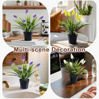 3 Pack Fake Small Plant in Pot Artificial Potted Flowers for Home Decor Fake Flower Plant Greenery Mini Faux Plant for Indoor Bedroom Living Room Office Shelf Bathroom Farmhouse Decor (Type 2)