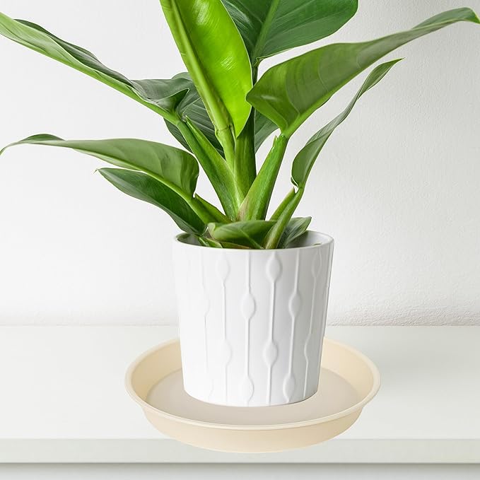 4 Pack of 14 inch Plant Saucers Bird Bath Bow Round, Plastic Plant Saucer Tray for Pots, White Planters for Indoor Plants, Plant Trays for Planter 12-15" (14", Beige)