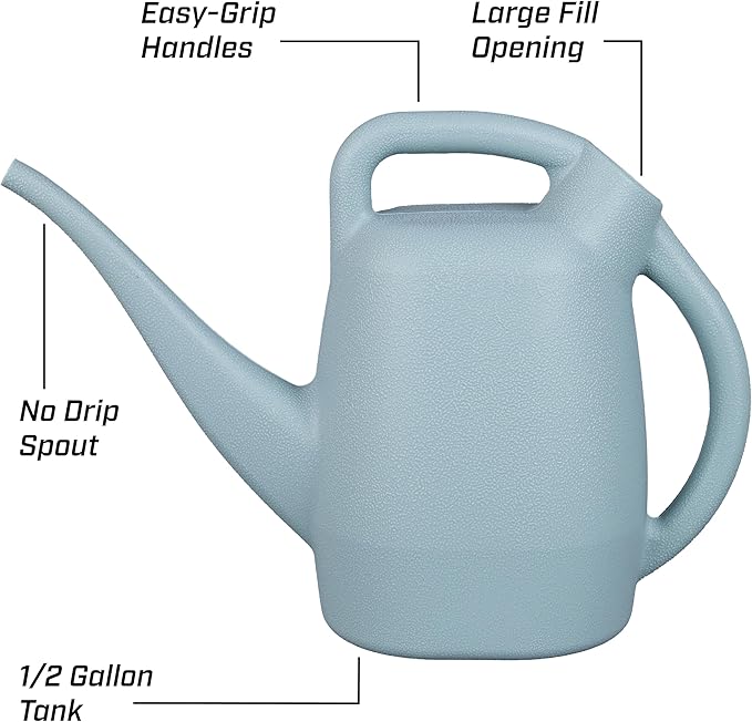 Chapin 48007 Watering Can, Garden, Indoor and Outdoor Plants, Recycled Plastic, Made in USA, 0.5 Gallon, Sky Blue