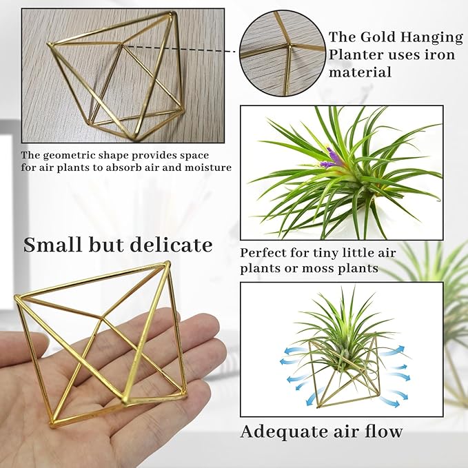 Hanging Air Plants Holders, 2Pcs Metal Air Plant Hangers for Small to Medium Sized Air Plants, Himmeli Geometric Planter to Add a Sense of Style and Relaxation for Home Office (2pcs, Gold)