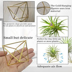 Hanging Air Plants Holders, 2Pcs Metal Air Plant Hangers for Small to Medium Sized Air Plants, Himmeli Geometric Planter to Add a Sense of Style and Relaxation for Home Office (2pcs, Gold)