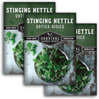 Stinging Nettle Seeds for Planting - Urtica Dioica Medicinal Herb & Edible Perennial - Common Nettle for Tea, Cooking & Wellness - Heirloom Non-GMO - Survival Garden Seeds (3 Packs)