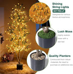 Olive Trees Artificial Indoor, 7FT Tall Faux Olive Tree with Moss and Planter, Artificial Plants Indoor with Natural Wood Trunk and Lifelike Fruits, Fake Tree for Home Office Living Room Decor