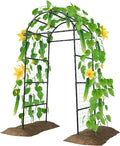 Miory Garden Arch Trellis for Climbing Plants Outdoor, 7ft Tall Plants Support Trellis for Climbing Vine Tomato Vegetable Flower Fruit, Cucumber Trellis for Raised Bed (32 x 83 Inch)