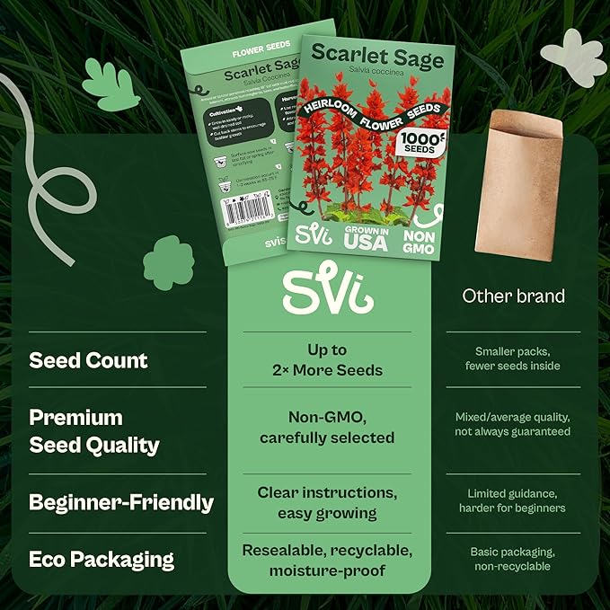 SVI 1000 Red Sage Seeds for Planting Outdoors (Salvia coccinea) – Scarlet sage, Deer Resistant Wildflower – Heirloom Flower Seeds to Plant Outside & Inside Garden, Beds, Containers