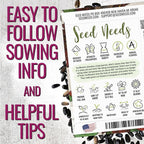Seed Needs Chocolate Sunflower Seeds for Planting Dark Maroon Sunflowers - Heirloom & Open Pollinated Flower Seed to Plant & Grow an Outdoor Wildflower Butterfly Garden (1 Pack)