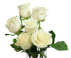 KaBloom PRIME NEXT DAY DELIVERY - Bouquet of 6 Fresh cut White Roses with Vase .Gift for Birthday, Sympathy, Anniversary, Get Well, Thank You, Valentine, Mother’s Day Fresh Flowers