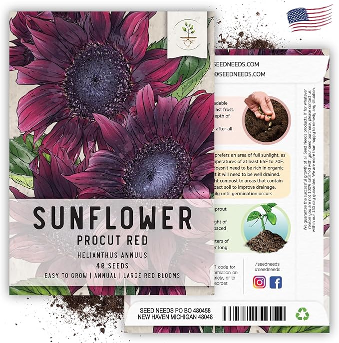 Seed Needs Procut Red Sunflower Seeds for Planting Burgundy Sunflowers - F1 Hybrid Flowers Great for Cutting in Bouquets & Floral Arrangements (1 Pack)