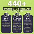 Catnip Seeds – Two Seed Packets! – Over 880 Open Pollinated Non-GMO Seeds – Sweet Yards Seed Co.