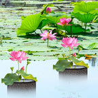 EBaokuup 4 Pcs Aquatic Pond Planting Bags-7.1" H x 7.2" Dia Reusable Mesh Water Garden Pond Plant Pot-Breathable Black Round Lily Plant Pots for Pond Bog Plant Garden Terrestrial Plant